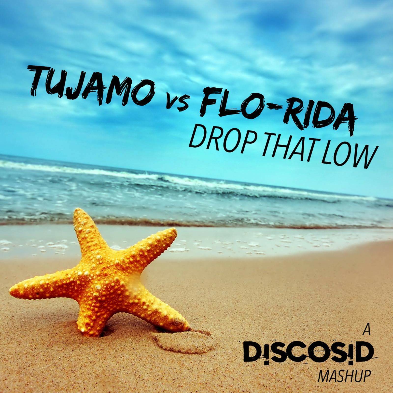 Tujamo Vs Flo Rida - Drop That Low (Discosid Mashup)